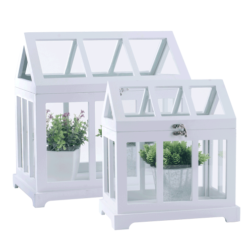 Mini üvegházak