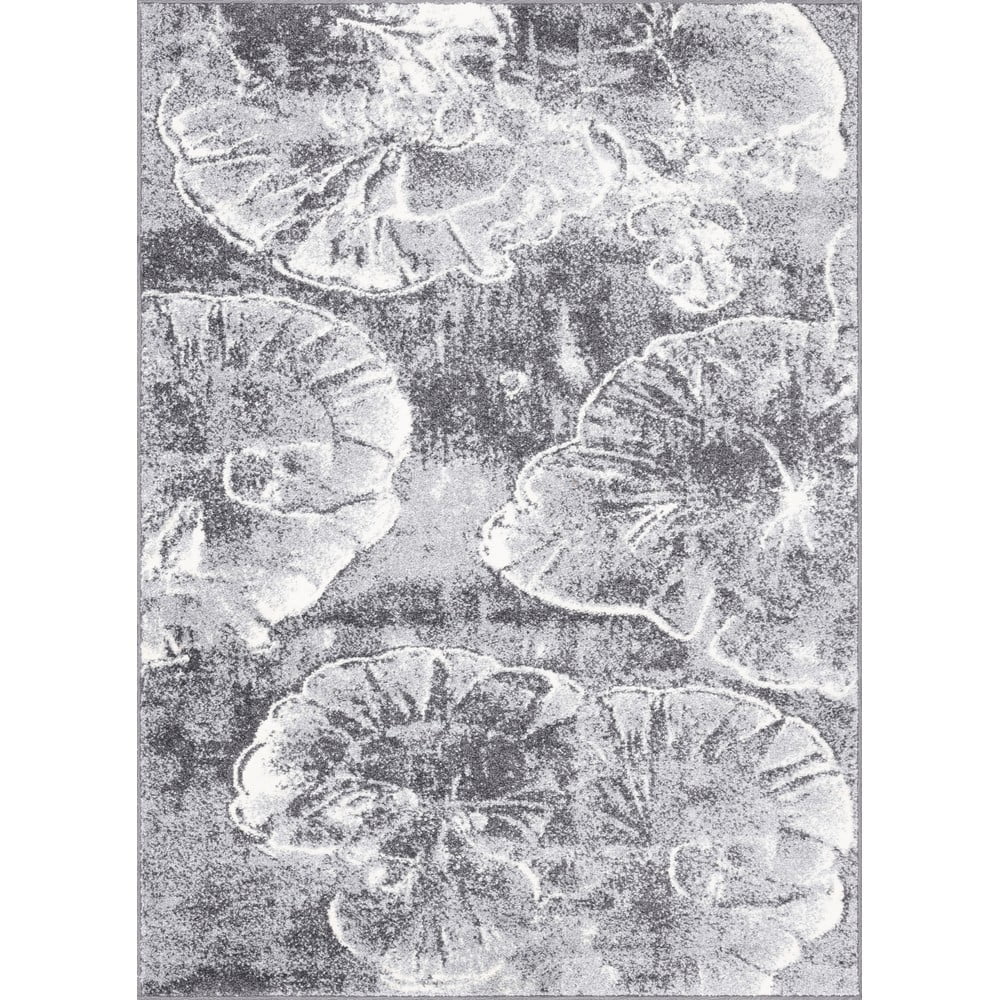 Szürke szőnyeg 80x120 cm Avanti – FD