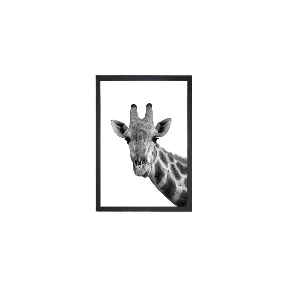 Kép 24x29 cm Giraffe – Vavien Artwork