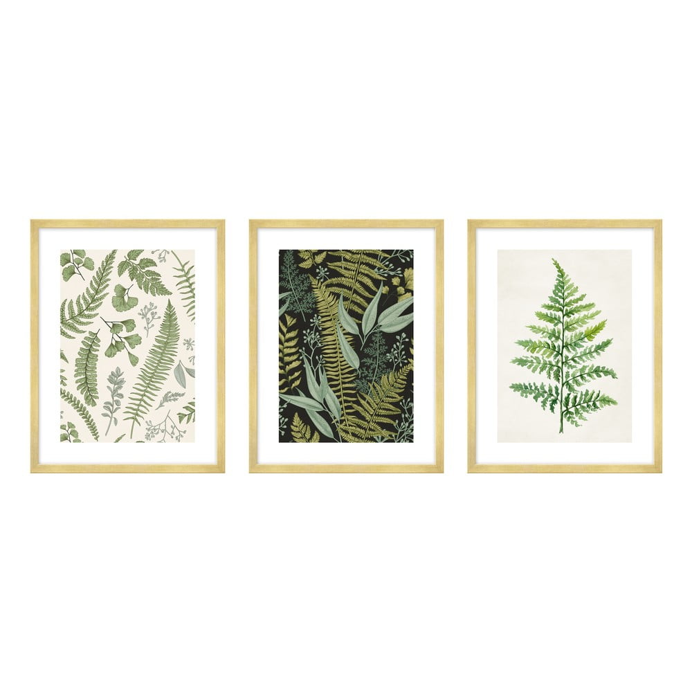 Kép szett 3 db-os 30x40 cm Fern – knor