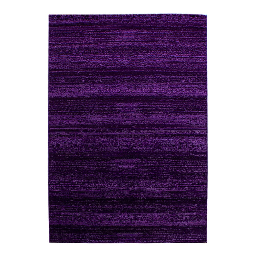 Sötétlila szőnyeg 140x200 cm Plus – Ayyildiz Carpets