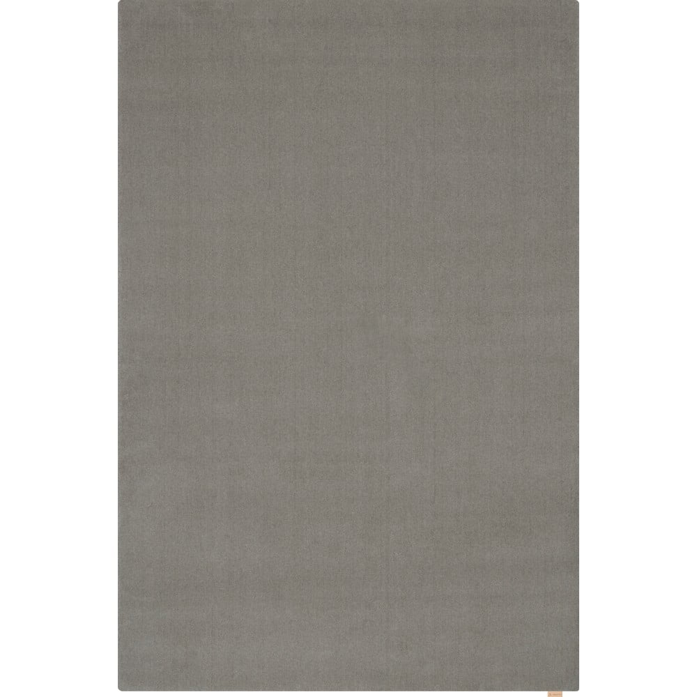 Szürke gyapjú szőnyeg 300x400 cm Calisia M Smooth – Agnella