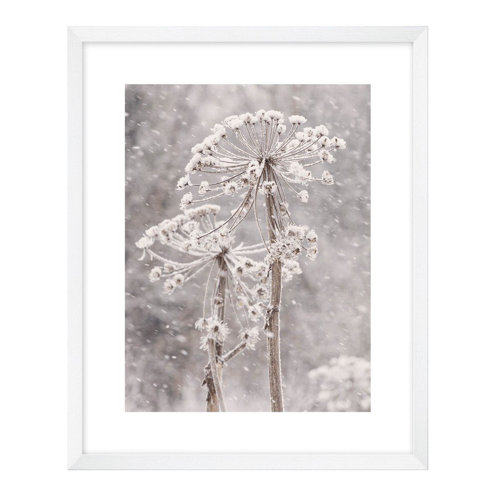 Kép 40x50 cm Snow – knor