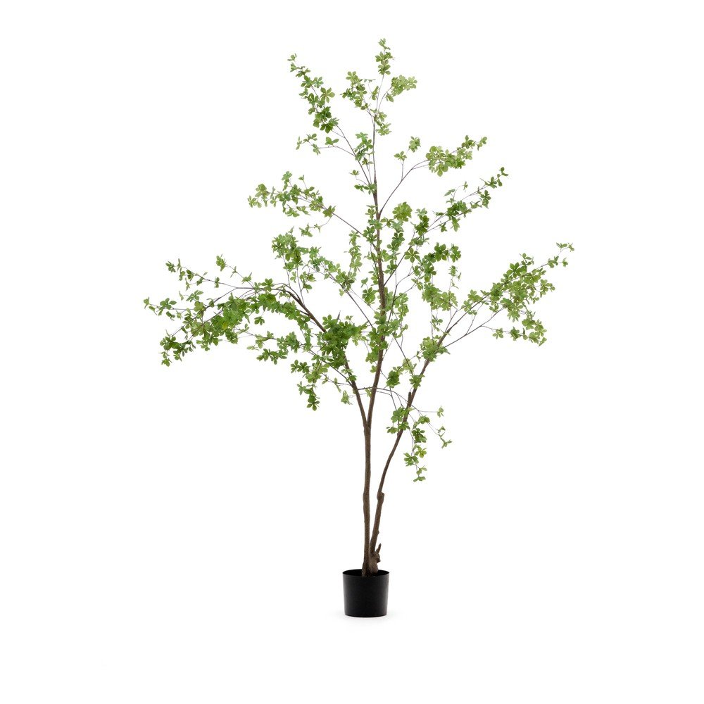Műnövény (magasság 214 cm) Enkianthus – Kave Home