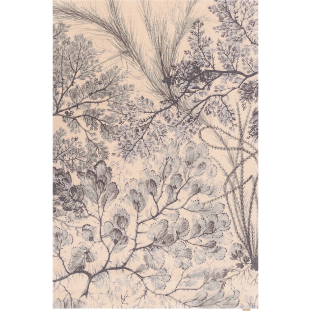 Mentazöld-bézs gyapjú szőnyeg 170x240 cm V&A Calisia Kelp – Agnella