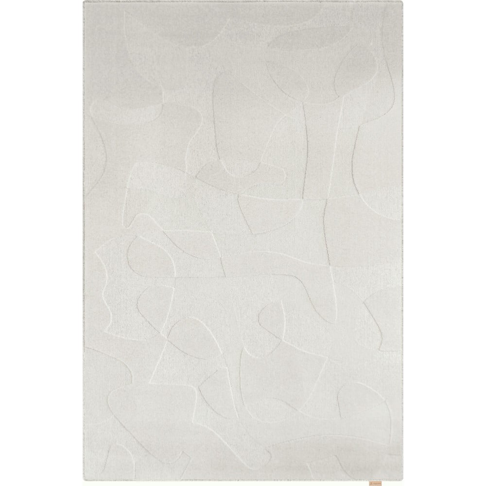 Világosszürke gyapjú szőnyeg 200x300 cm Morphic Botanica – Agnella