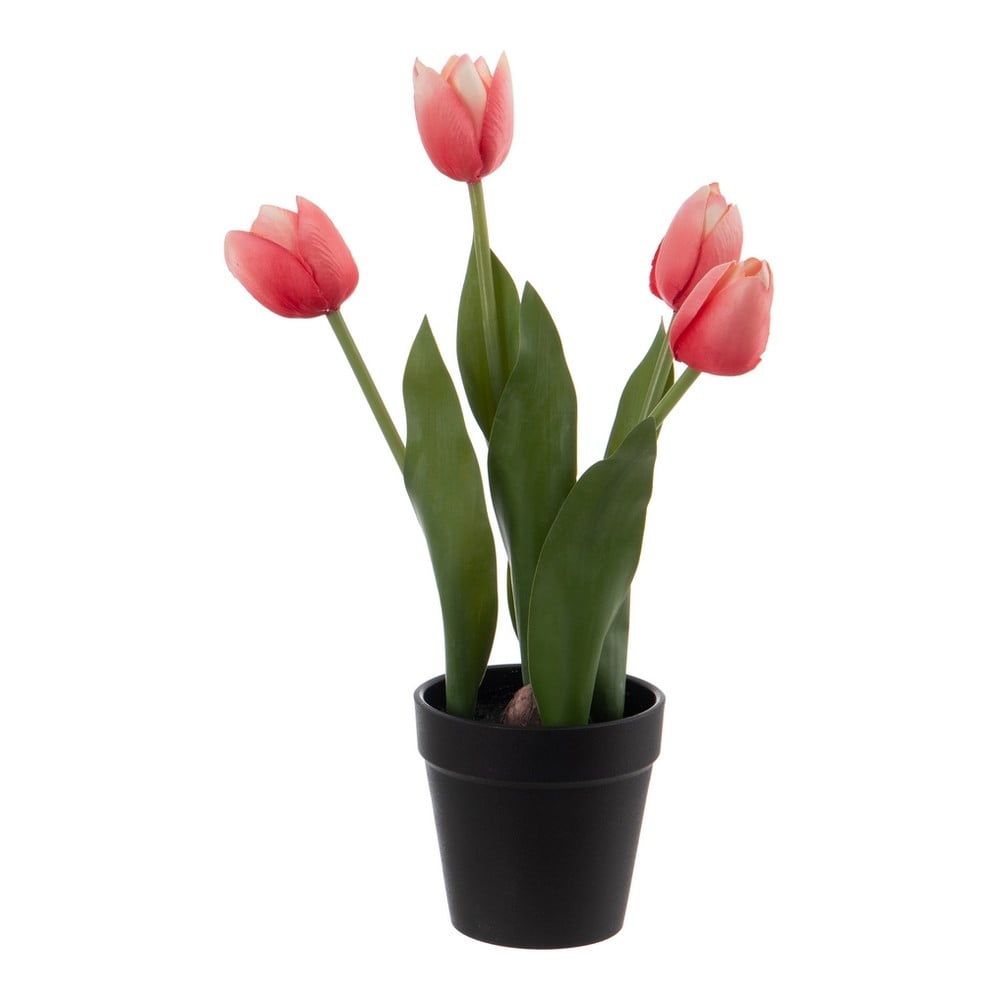 Művirág (magasság 31 cm) Tulips – Ixia