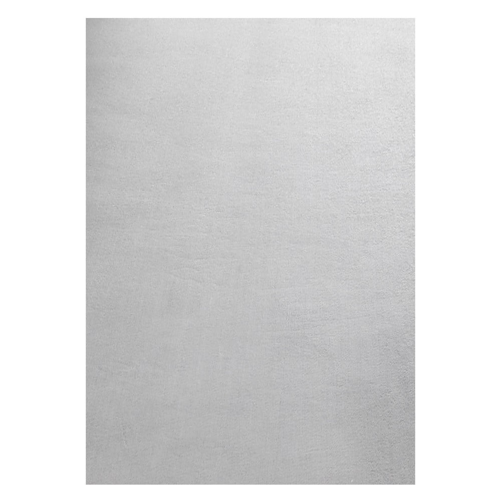 Világosszürke mosható szőnyeg 200x290 cm Sky – Ayyildiz Carpets